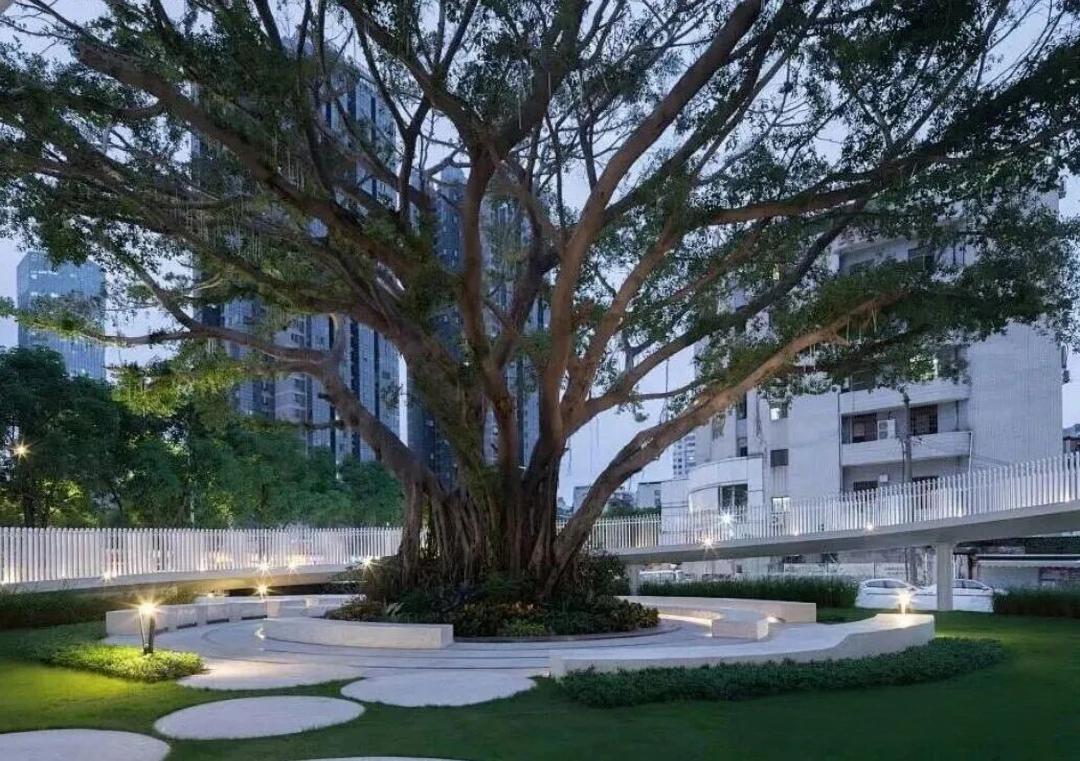 树下空间.jpg 树下空间.jpg